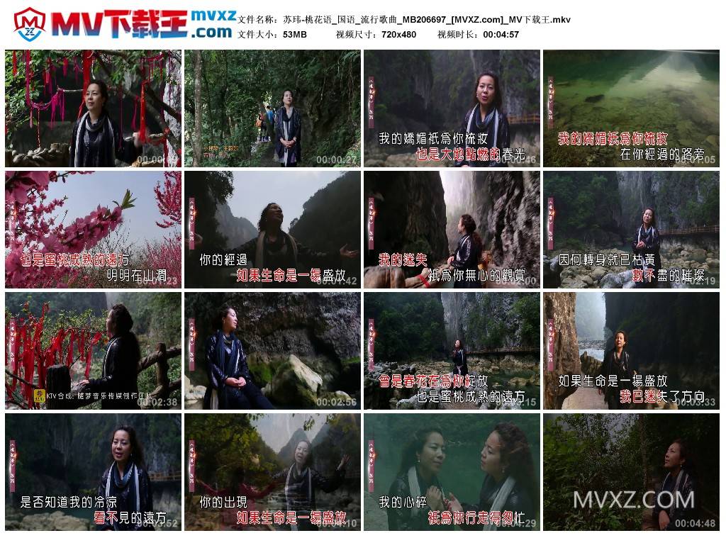 苏玮-桃花语_国语_流行歌曲_MB206697
